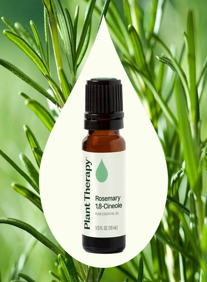 Plant Therapy Rosemary Essential Oil for Hair Growth, 100% Pure, Undiluted, Natural Aromatherapy for Diffuser & Rosemary Oil for Hair & Scalp, Therapeutic Grade 10 mL (1/3 oz) - Image 3